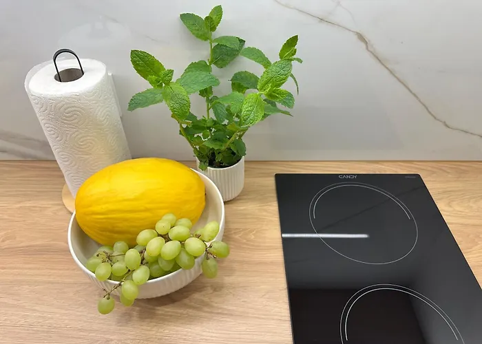 Apartmán Off Piotrkowska W Roosevelta Residence, Klimatyzacja, Wejscie Na Kod, Wifi, Fv