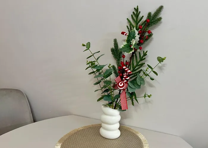 Off Piotrkowska W Roosevelta Residence, Klimatyzacja, Wejscie Na Kod, Wifi, Fv